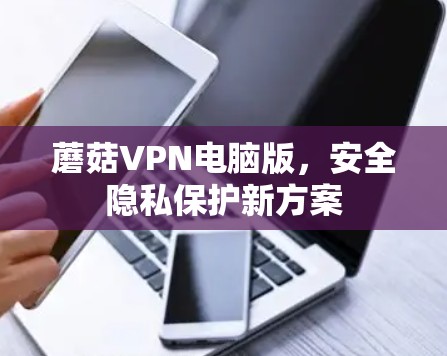 蘑菇VPN电脑版,安全隐私保护新方案 蘑菇VPN电脑版,安全隐私保护新方案