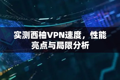 实测西柚VPN速度，性能亮点与局限分析