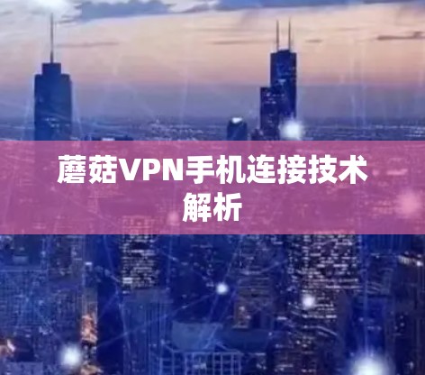 蘑菇VPN手机连接技术解析 蘑菇VPN手机连接技术解析