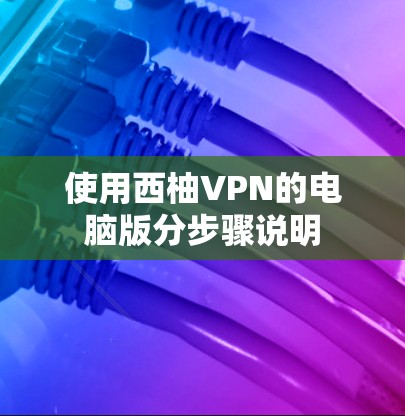 使用西柚VPN的电脑版分步骤说明 使用西柚VPN的电脑版分步骤说明