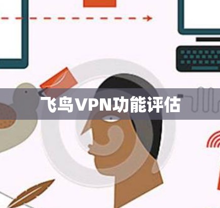 飞鸟VPN功能评估 飞鸟VPN功能评估