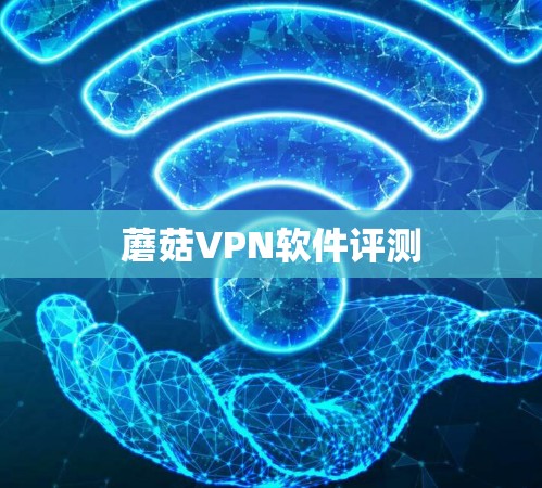 蘑菇VPN软件评测 蘑菇VPN软件评测