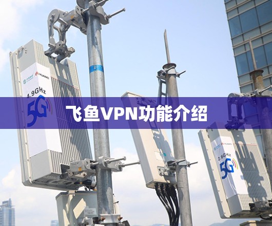 飞鱼VPN功能介绍 飞鱼VPN功能介绍