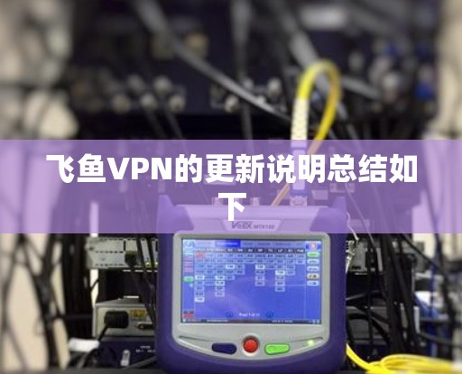 飞鱼VPN的更新说明总结如下 飞鱼VPN的更新说明总结如下