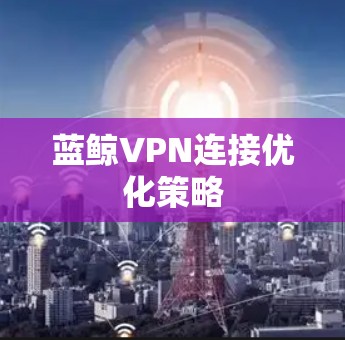 蓝鲸VPN连接优化策略