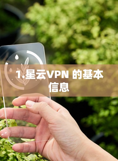 1.星云VPN 的基本信息 1.星云VPN 的基本信息