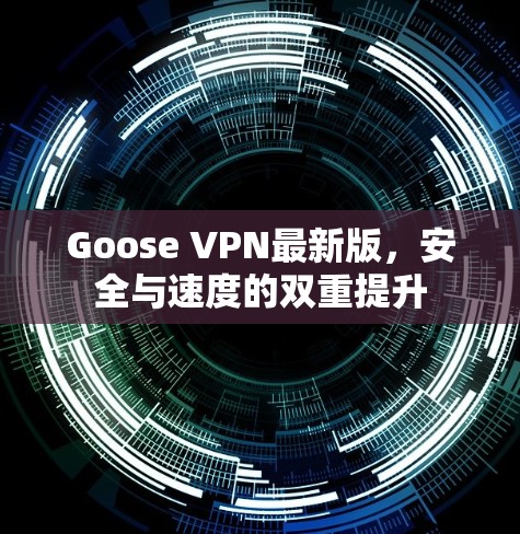 Goose VPN最新版,安全与速度的双重提升 Goose VPN最新版,安全与速度的双重提升