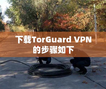 下载TorGuard VPN的步骤如下
