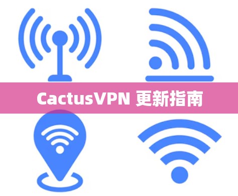 CactusVPN 更新指南 CactusVPN 更新指南
