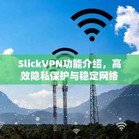 SlickVPN功能介绍，高效隐私保护与稳定网络