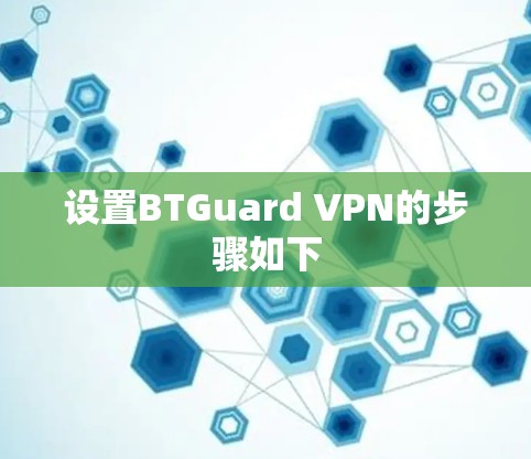 设置BTGuard VPN的步骤如下 设置BTGuard VPN的步骤如下