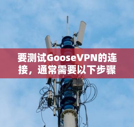 要测试GooseVPN的连接,通常需要以下步骤 要测试GooseVPN的连接,通常需要以下步骤