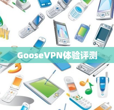 GooseVPN体验评测 GooseVPN体验评测