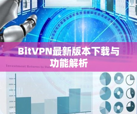 BitVPN最新版本下载与功能解析