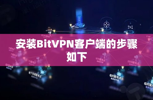 安装BitVPN客户端的步骤如下 安装BitVPN客户端的步骤如下