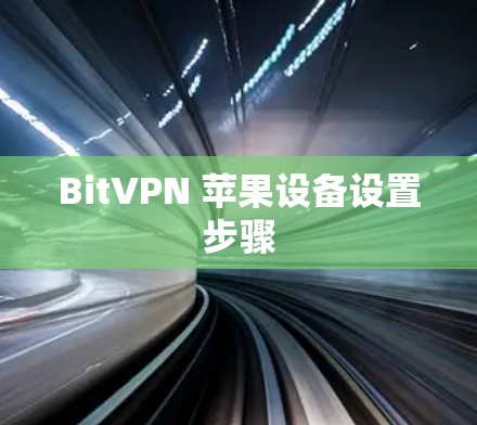 BitVPN 苹果设备设置步骤 BitVPN 苹果设备设置步骤