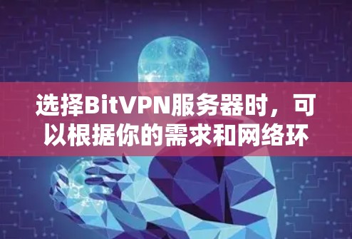 选择BitVPN服务器时,可以根据你的需求和网络环境来决定。以下是一些关键因素和建议 选择BitVPN服务器时,可以根据你的需求和网络环境来决定。以下是一些关键因素和建议