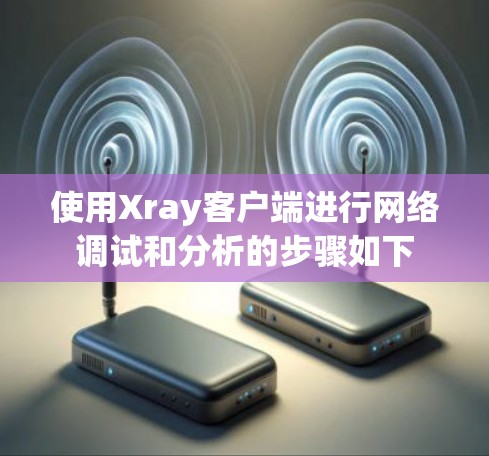 使用Xray客户端进行网络调试和分析的步骤如下 使用Xray客户端进行网络调试和分析的步骤如下