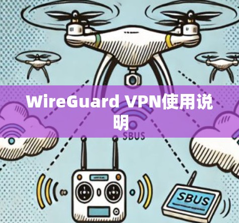 WireGuard VPN使用说明 WireGuard VPN使用说明