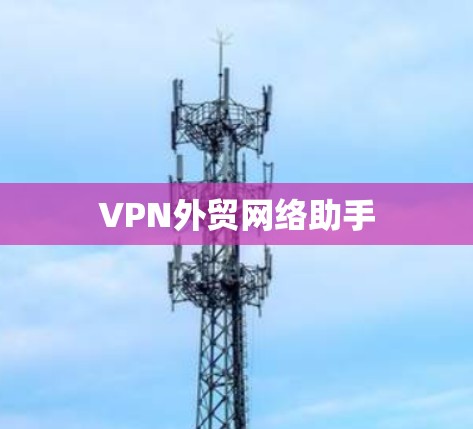 VPN外贸网络助手 VPN外贸网络助手