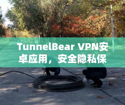 TunnelBear VPN安卓应用,安全隐私保护新选择 TunnelBear VPN安卓应用,安全隐私保护新选择
