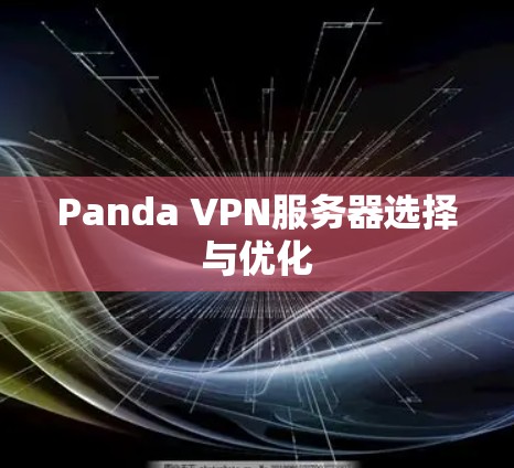 Panda VPN服务器选择与优化 Panda VPN服务器选择与优化