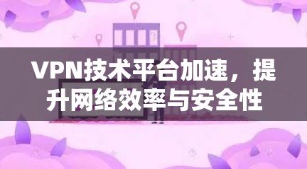 VPN技术平台加速，提升网络效率与安全性