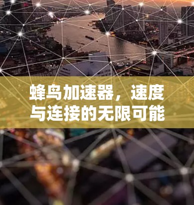 蜂鸟加速器，速度与连接的无限可能