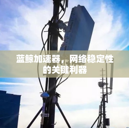 蓝鲸加速器,网络稳定性的关键利器 蓝鲸加速器,网络稳定性的关键利器