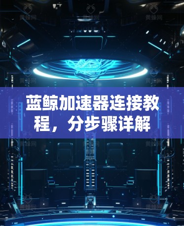蓝鲸加速器连接教程，分步骤详解