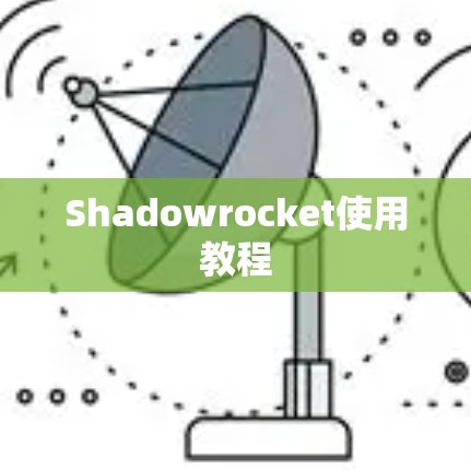 Shadowrocket使用教程