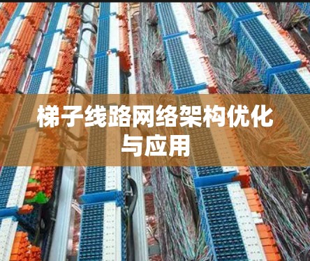 梯子线路网络架构优化与应用