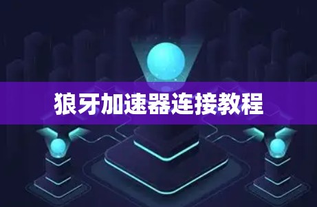 狼牙加速器连接教程 狼牙加速器连接教程