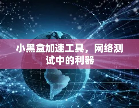 小黑盒加速工具，网络测试中的利器