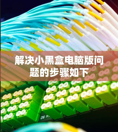 解决小黑盒电脑版问题的步骤如下 解决小黑盒电脑版问题的步骤如下