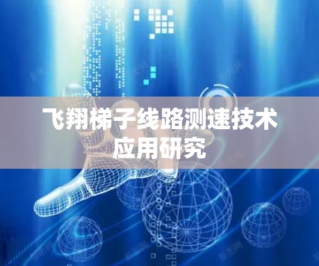 飞翔梯子线路测速技术应用研究 飞翔梯子线路测速技术应用研究