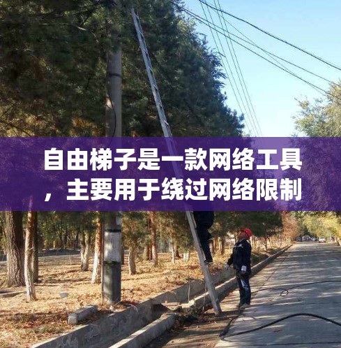 自由梯子是一款网络工具，主要用于绕过网络限制，访问外网资源。以下是使用该工具的分步指南
