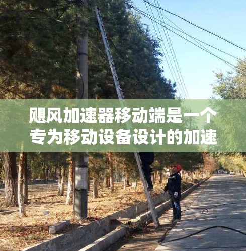 飓风加速器移动端是一个专为移动设备设计的加速器解决方案，旨在利用移动设备的优势，提供便携、高效的数据处理和加速能力。以下是对飓风加速器移动端的详细分析和总结