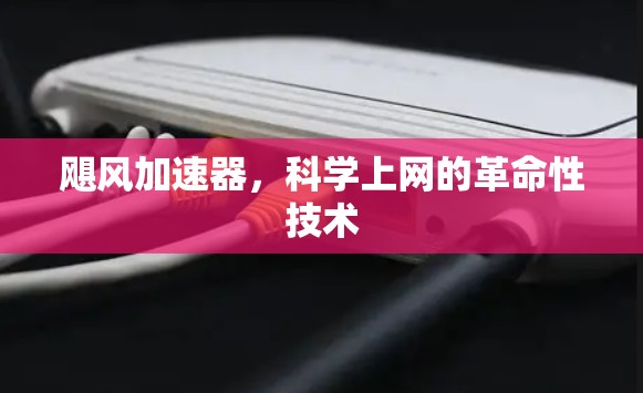 飓风加速器,科学上网的革命性技术 飓风加速器,科学上网的革命性技术