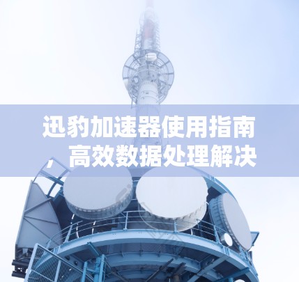 迅豹加速器使用指南,高效数据处理解决方案 迅豹加速器使用指南,高效数据处理解决方案