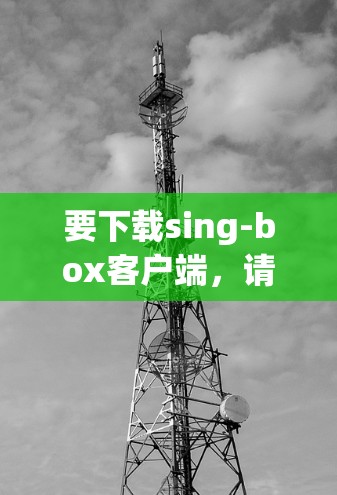 要下载sing-box客户端,请按照以下步骤操作 要下载sing-box客户端,请按照以下步骤操作